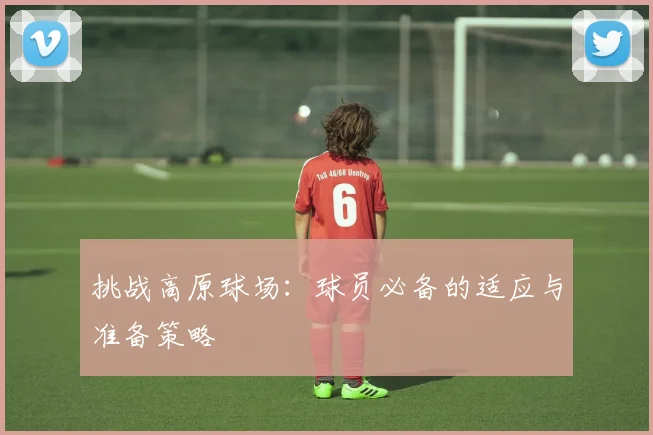 挑战高原球场:球员必备的适应与准备策略